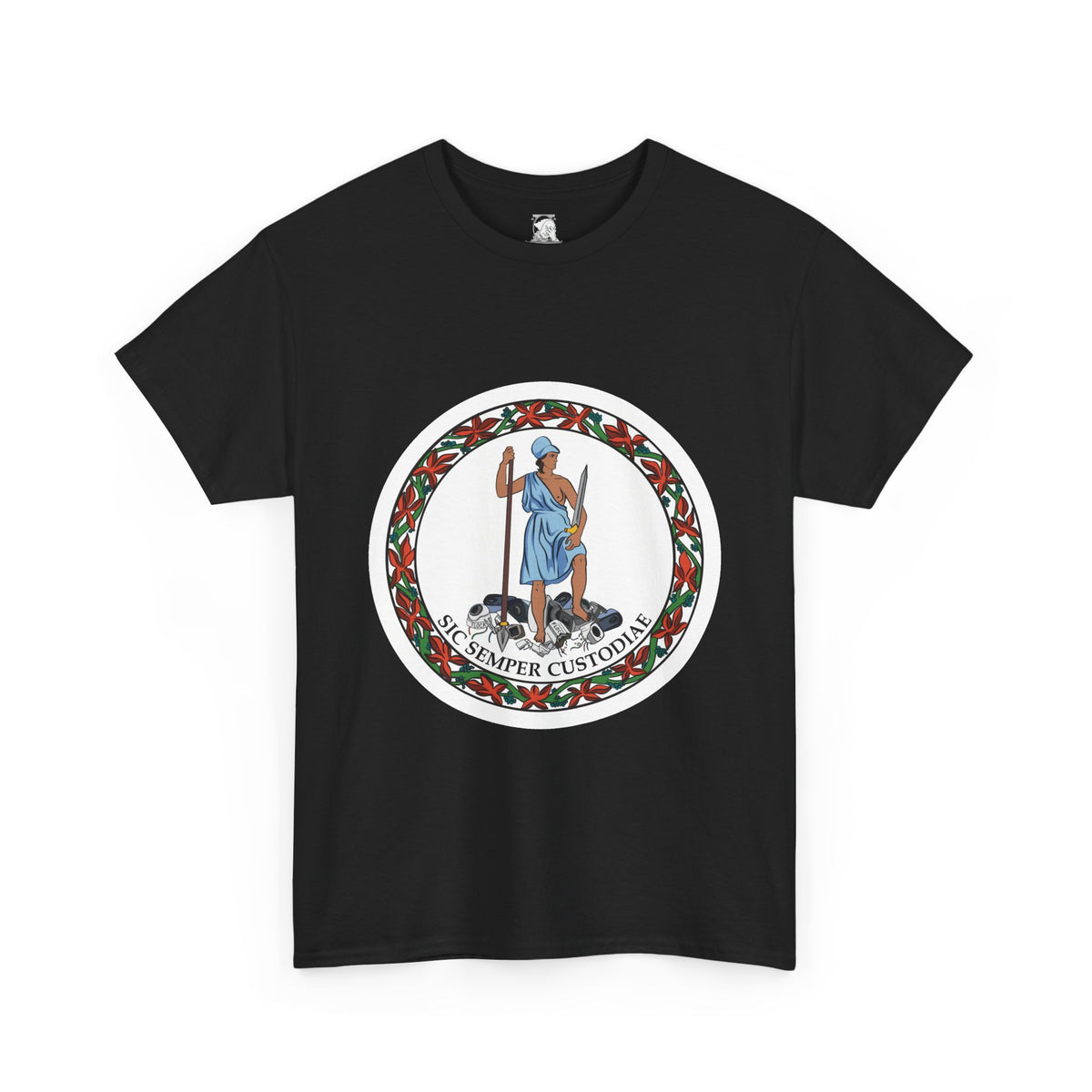 A black short-sleeve t-shirt with a parody of the Virginia state flag. In the graphic of the flag, there is a revolutionary figure in a toga standing on top of a pile of Flock cameras. The circular image has a flower border and a white background