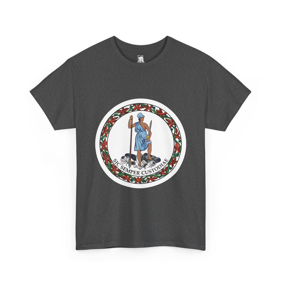 A dark heather grey short-sleeve t-shirt with a parody of the Virginia state flag. In the graphic of the flag, there is a revolutionary figure in a toga standing on top of a pile of Flock cameras. The circular image has a flower border and a white background